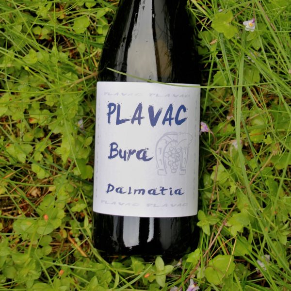 bura-wine-plavac